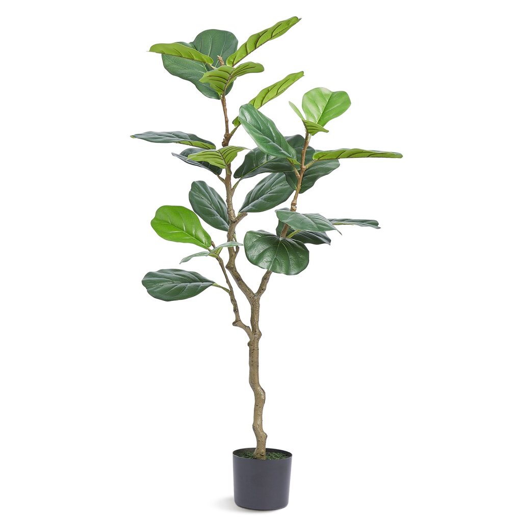 20338-11_us-rzs4ftqs0000ho56kv0-original-img-v1-artificial-trees-m100-1-2