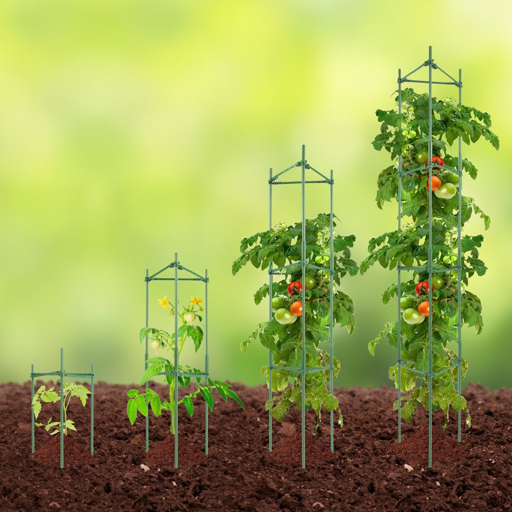 MAIN_20458-3_us-kzdfqzzzcj68fh9y4v0-original-img-v1-tomato-cage-m100-1-12