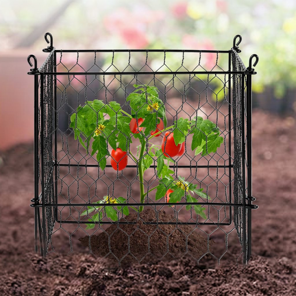 MAIN_20461-4_us-qbwzcl12ychse5zgtv0-original-img-v1-plant-cage-m100-1-12