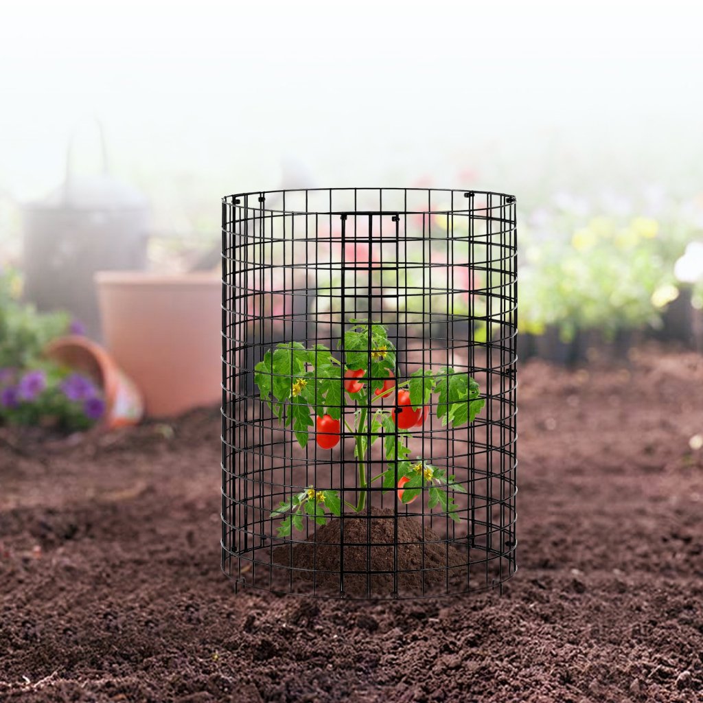 MAIN_20464-3_us-qbwzcl14ychs4n9uiv0-original-img-v1-plant-cage-m100-1-12