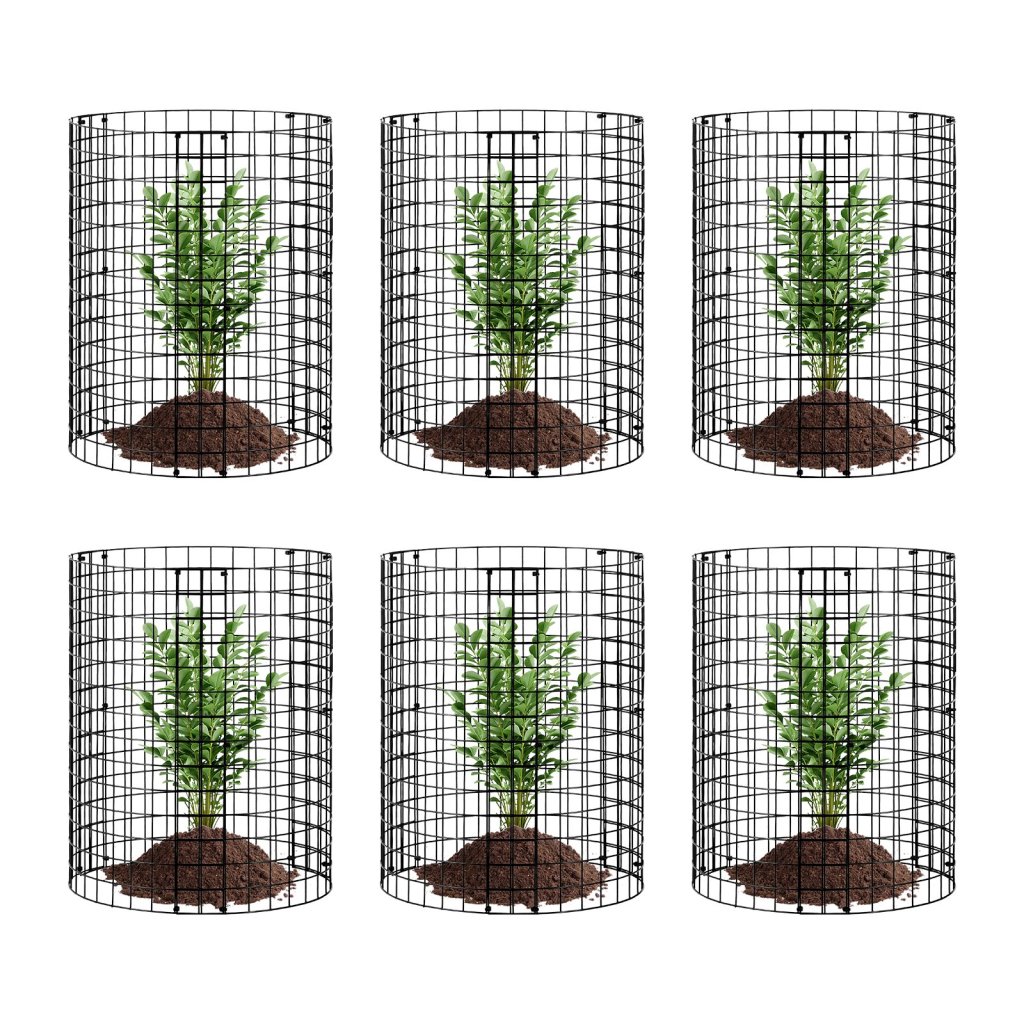20464-2_us-qbwzcl14ychs4n9uiv0-original-img-v1-plant-cage-m100-10