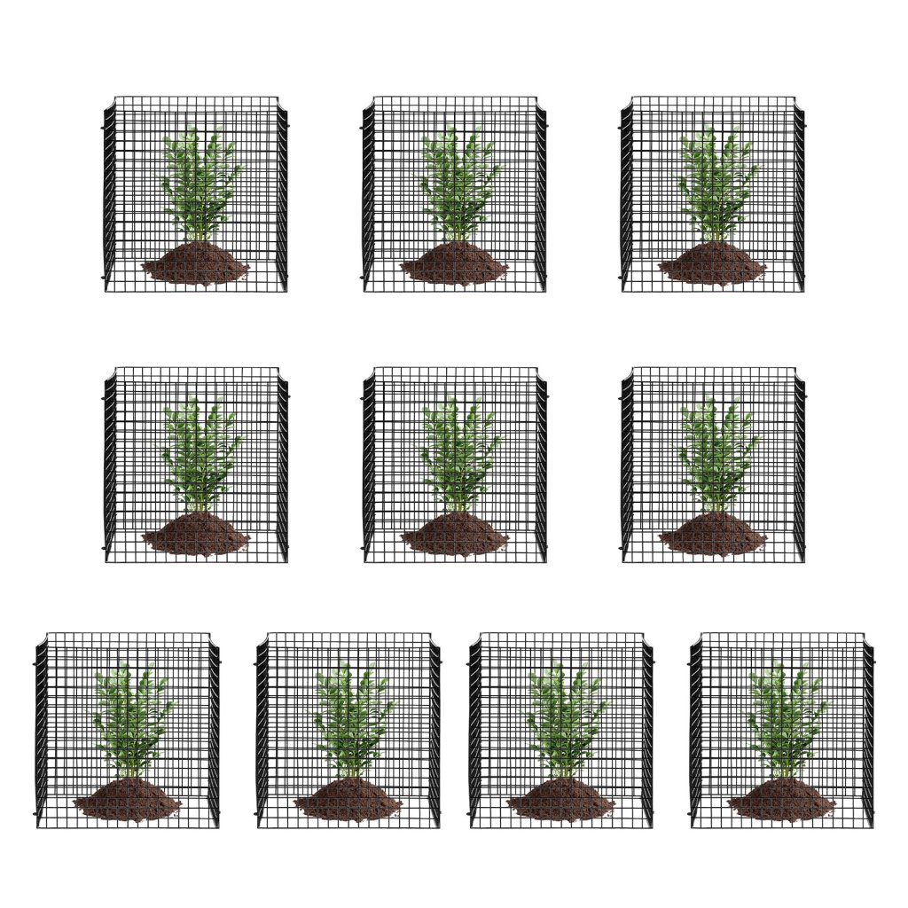 MAIN_20467-2_us-qbwzcl12ychs5iv6fv0-original-img-v1-plant-cage-m100-10