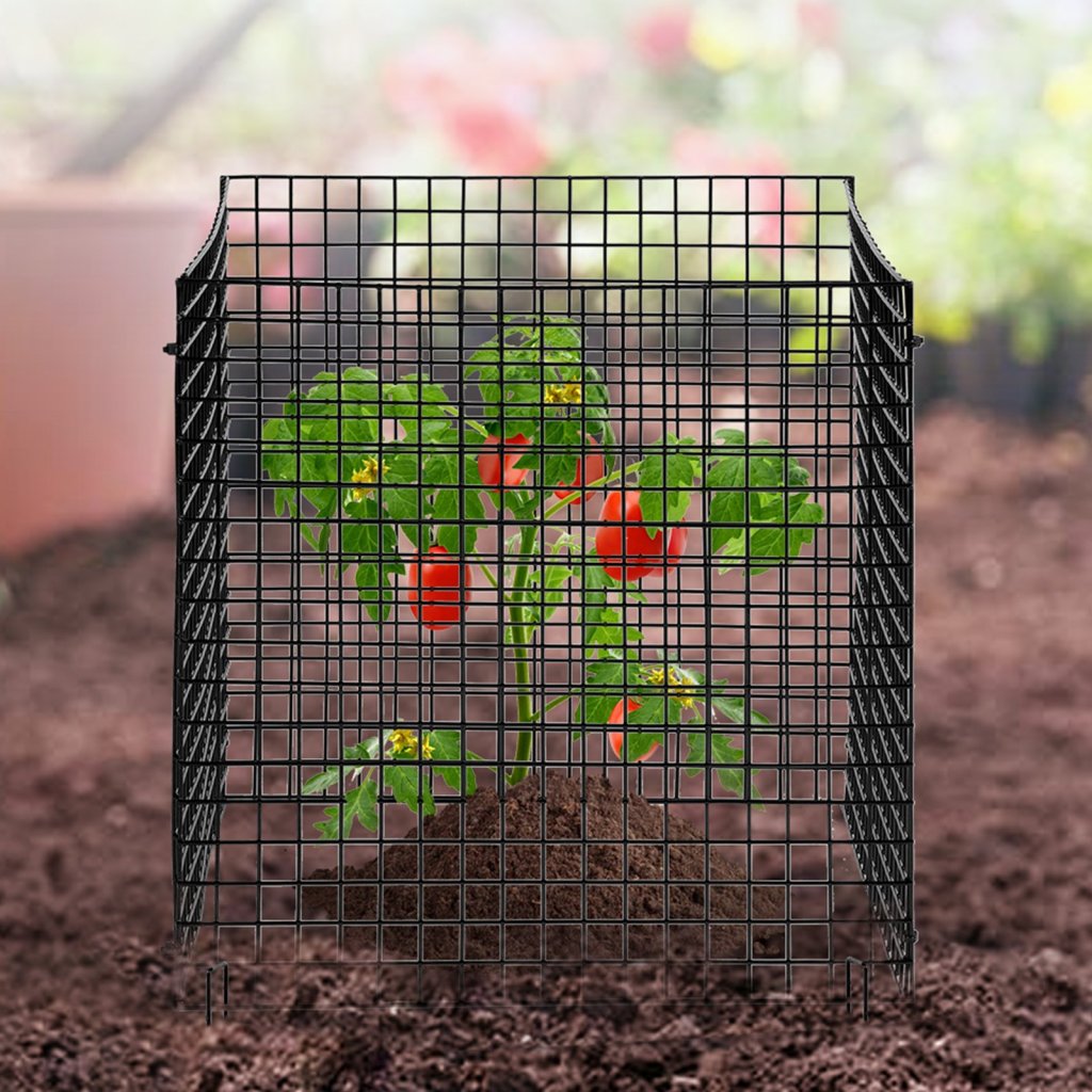 20467-3_us-qbwzcl12ychs5iv6fv0-original-img-v1-plant-cage-m100-1-12
