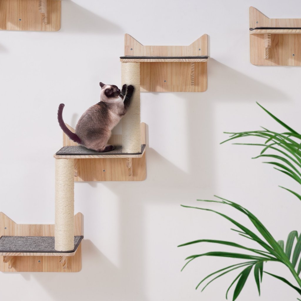 26496-4_us-zysbgsmpj5jtss2v1v0-original-img-v1-cat-wall-shelves-m100-1-12