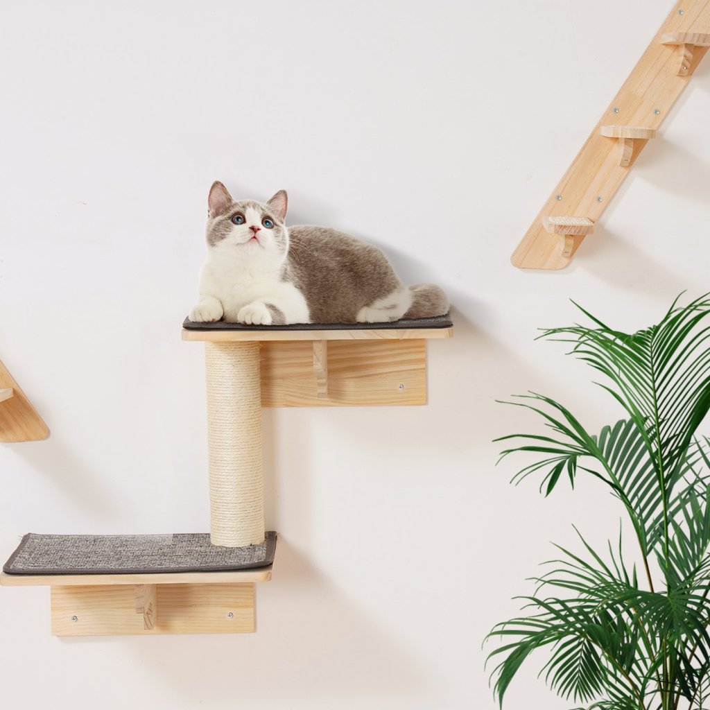 MAIN_26502-4_us-zysbgsmpj7jt3ov0qv0-original-img-v1-cat-wall-shelves-m100-1-12