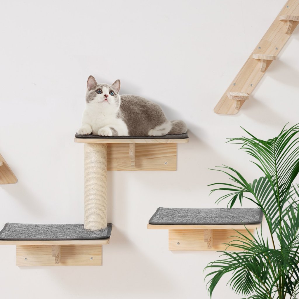 26505-3_us-zysbgsmpjsm9vigu9v0-original-img-v1-cat-wall-shelves-m100-1-12