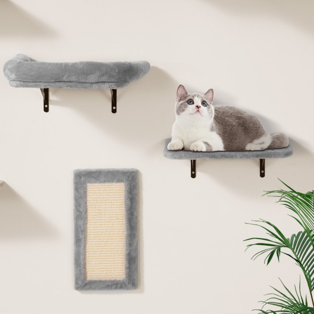 MAIN_26508-3_us-zysbgsmpj6jtky3nyv0-original-img-v1-cat-wall-shelves-m100-1-12