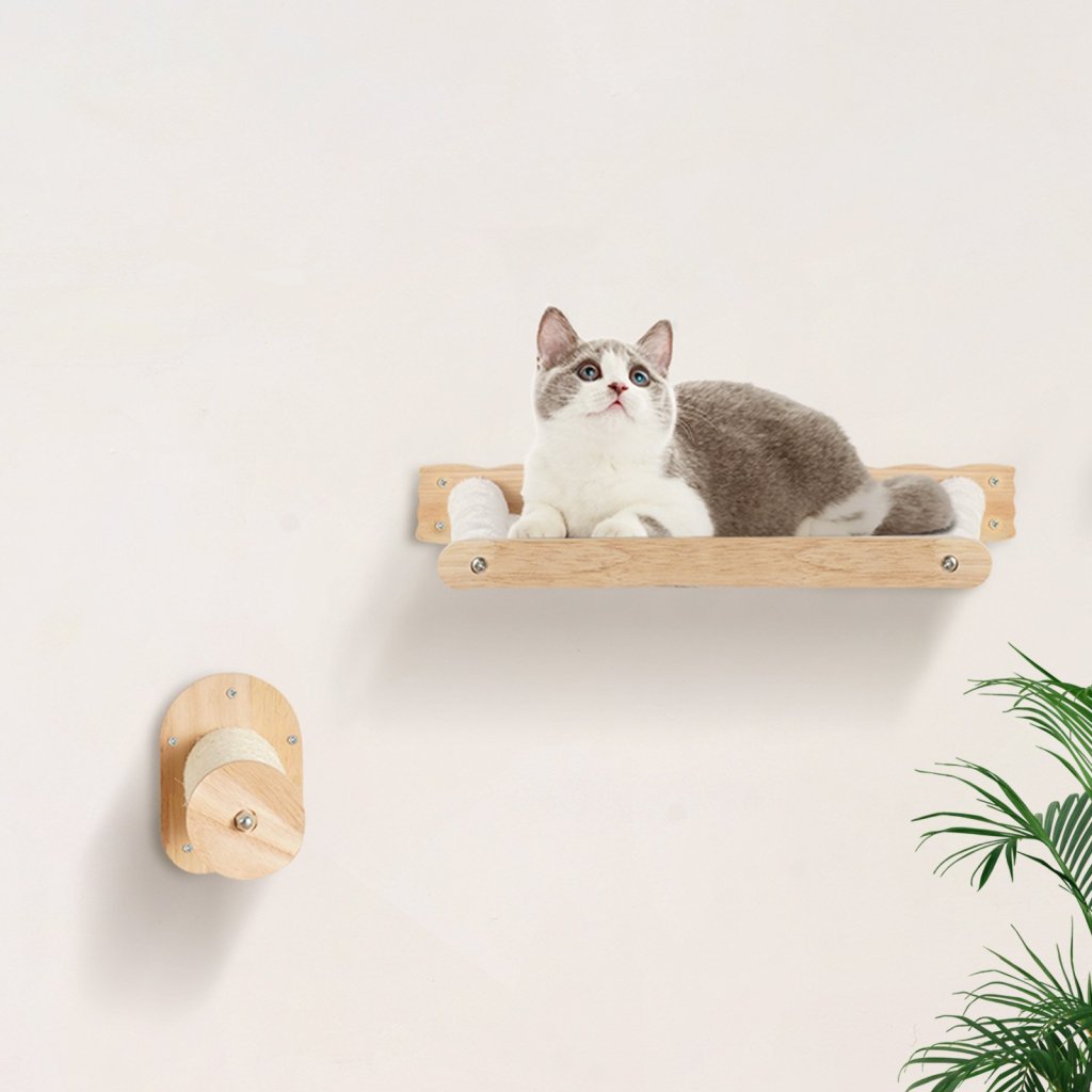 MAIN_26514-3_us-zysbgsmpj3jtiw4kwv0-original-img-v1-cat-wall-shelves-m100-1-12