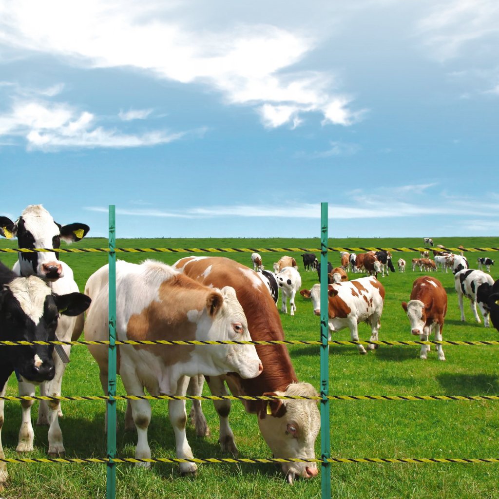 26841-4_us-wldxjskjsk333z33cy3-original-img-v1-electric-fence-wire-m100-1-12