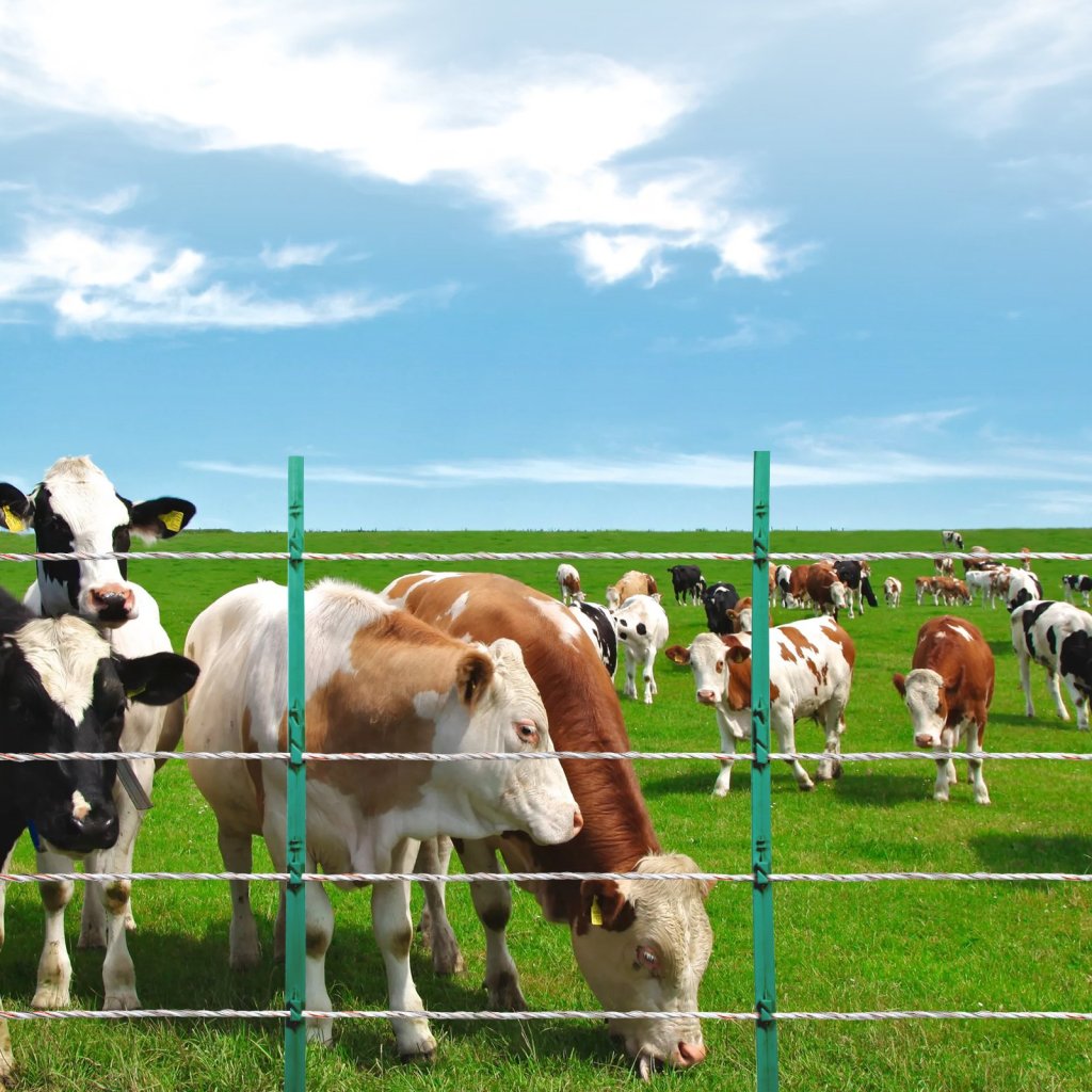 26925-4_us-wldxjskjsk263mym5y3-original-img-v1-electric-fence-wire-m100-1-12