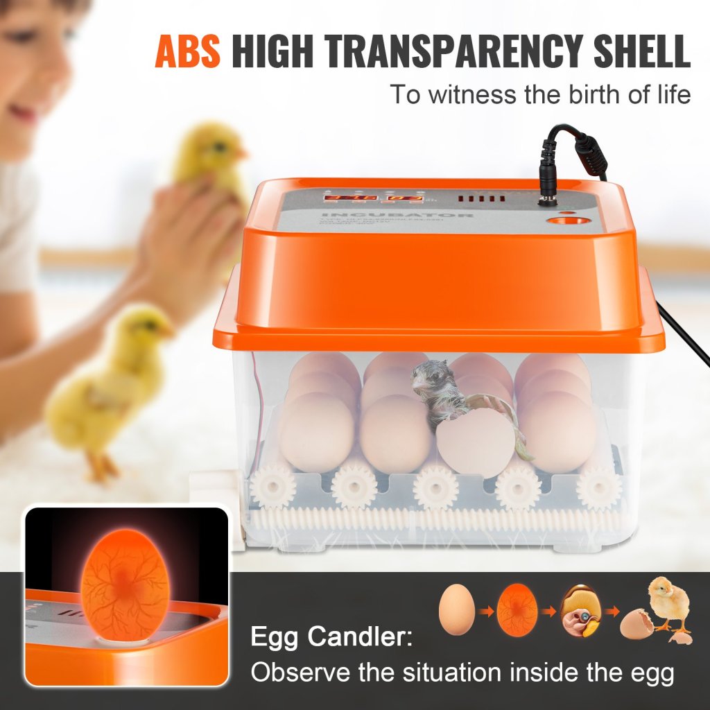 15775-7_us-jqdlfyq12myauj9d8v2-original-img-v1-egg-incubator-f4