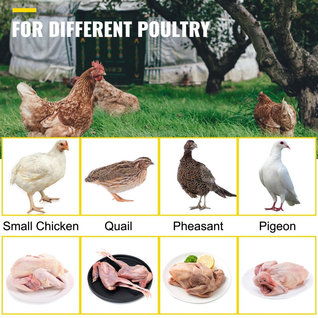 15862-5_us-tmjsd19z45mmbxg01v0-original-img-v1-drill-chicken-plucker-m100-7