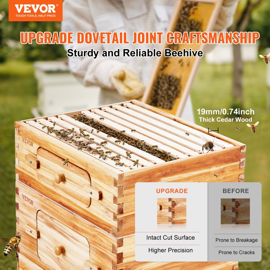 18604-10_us-ctfxsmshx2zhghal4v0-original-img-v1-bee-hive-f1