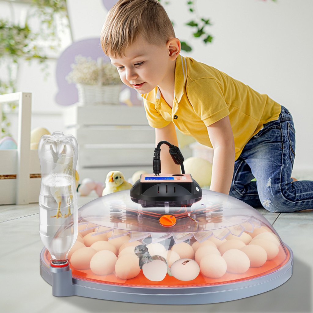 MAIN_30792-7_inkubator-vajec-inkubatory-pro-lihnuti-vajec-automaticke-otaceni-vajec-48-vajec