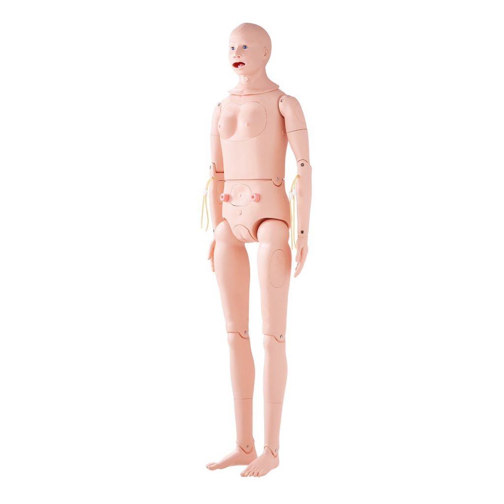 17707-1_us-hlrtmxgjhlmxs43grv0-original-img-v1-nursing-manikin-m100-9