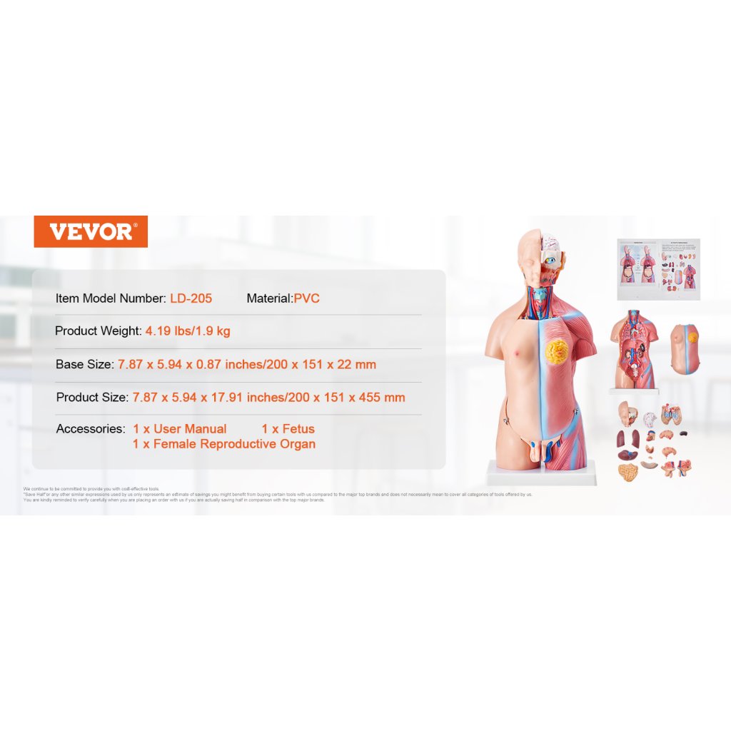 29451_model-lidskeho-tela--23-dilu--18-palcu--model-anatomie-lidskeho-trupu-unisex-model-anatomicke-kostry-s-odnimatelnymi-organy--vzdelavaci-nastroj-pro-vyuku-studentu-prirodovedne-vzdelavani-vzdelavaci-displej