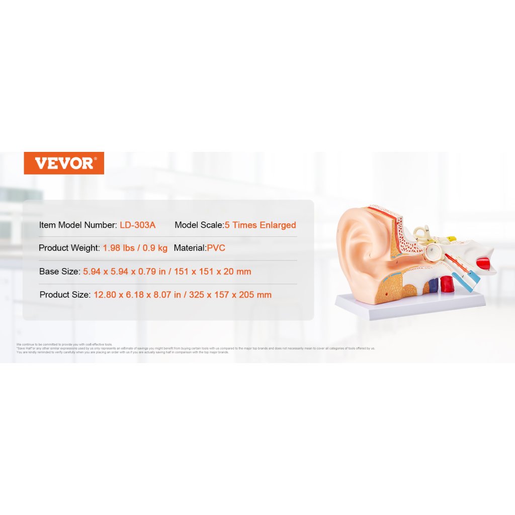 29466_anatomicky-model-lidskeho-ucha--3-casti-5krat-zvetseny-model-lidskeho-ucha-zobrazujici-vnejsi--stredni--vnitrni-ucho-se-zakladnou--profesionalni-model-anatomickeho-ucha-z-pvc-pro-vyuku-fyziologie